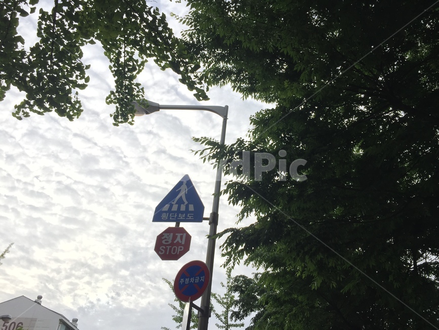 sky,nature,sign,tree,Street lamp,natural scenery,daily,sight,road name,Street,Emotion,snapshot,snap