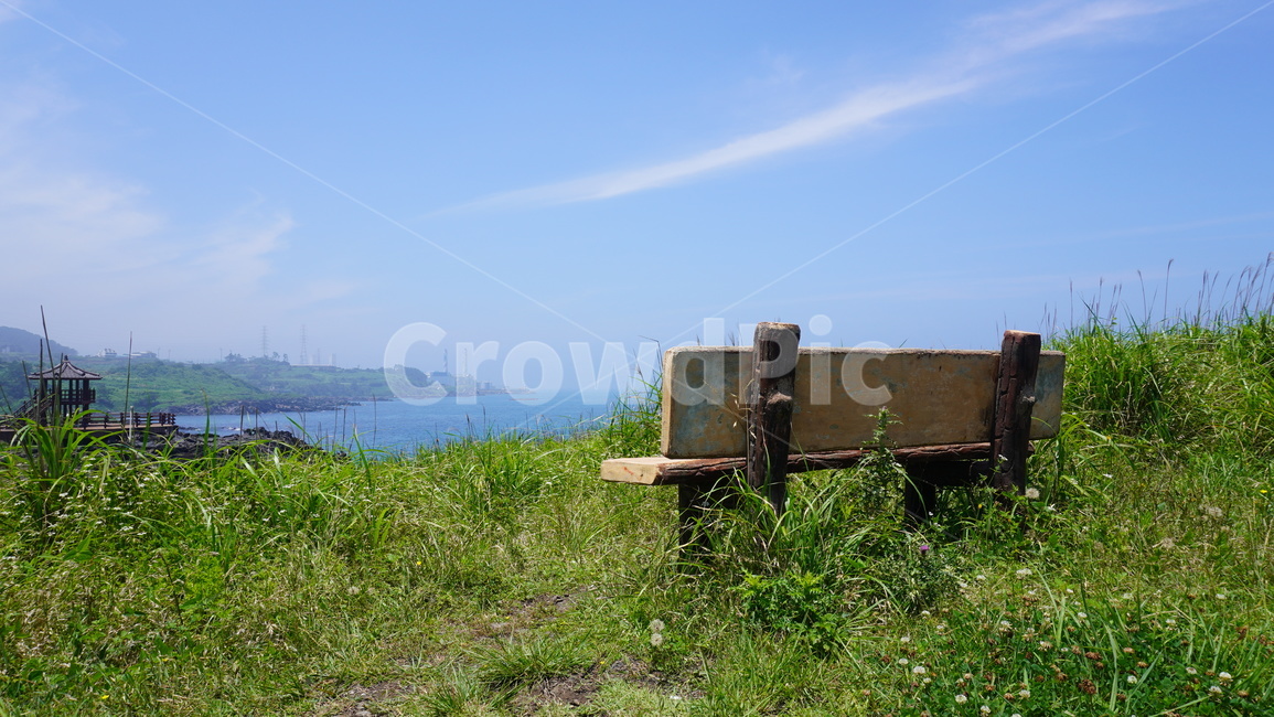 의자,풀,벤치,나무의자,하늘,자연,제주도,쉼,자연,풍경,nature,landscape