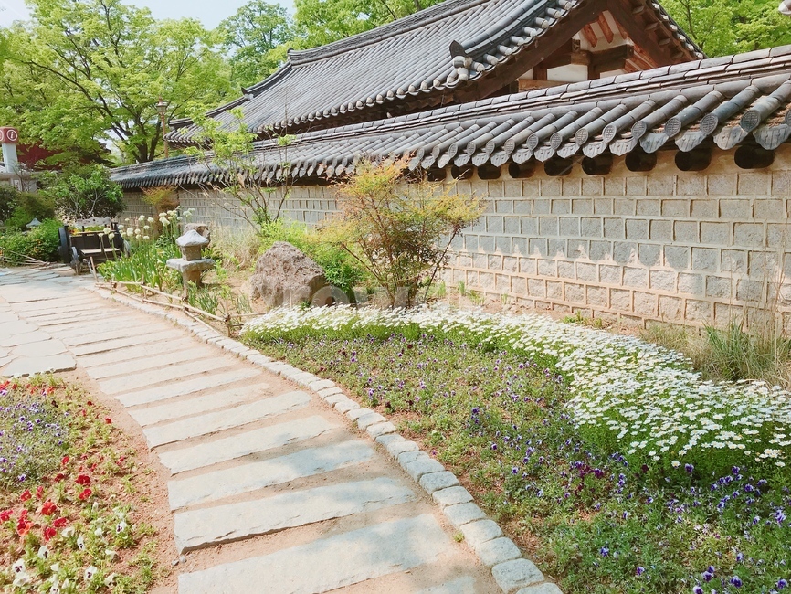 전주,풍경,꽃,한옥,계절,돌길,season