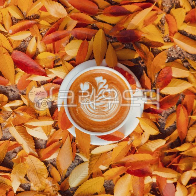 coffee,cafe,cafelatte,latte,커피,카페,카페라떼,라떼,바리스타,라떼아트,가을,가을,계절,fall,autumn,season