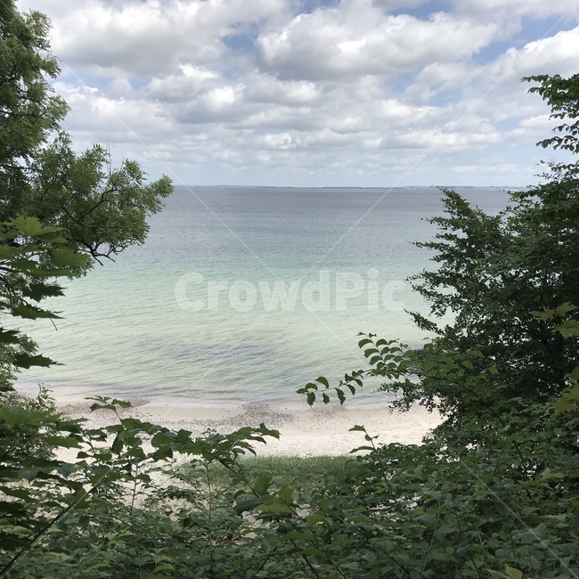 구름,바다,하늘,나무,파도,sky,cloud,wave,sea,tree,자연,풍경,nature,landscape,해변,바다,beach,sea,plant,식물,fir,전나무,land,땅,outdoors,옥외