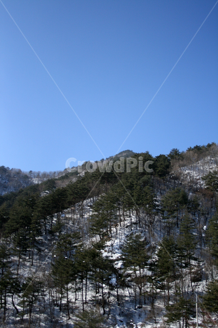 풍경,하늘,겨울,산,나무,눈,겨울,계절,winter,season,자연,풍경,nature,landscape,tree,plant,식물,slope,경사,fir,전나무,outdoors,옥외