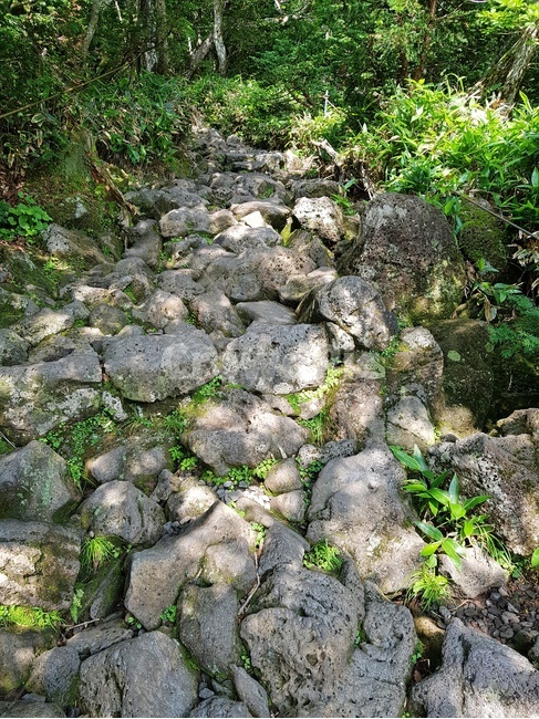 돌,돌길,고난,한라산,숲