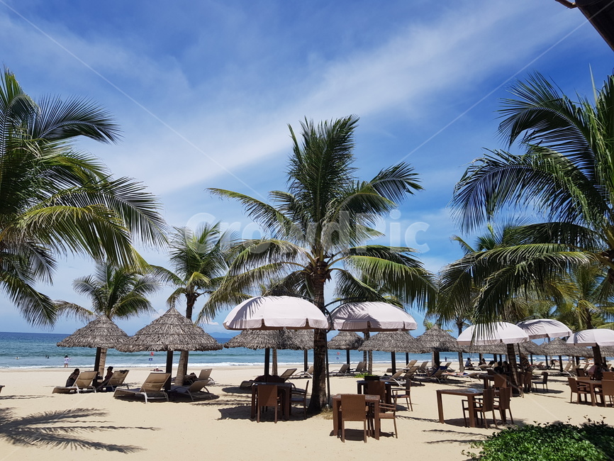 미케비치,파라솔,다낭,바다,야자수,해변,해변,바다,beach,sea,여행,휴가,traveling,vacation,trip