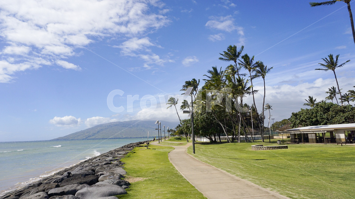 blue sky,holiday,sea,summer,cloud,palm tree,vacation,resort,sky,Landscape,honeymoon destination,nature,family trip,Hawaii,Maui,honeymoon,vacation destination,cloudsky,beach,travel,wind