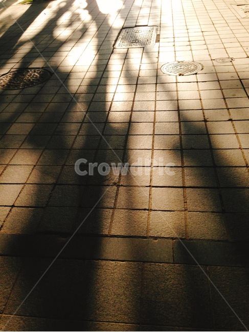 거리,도시,노을,그림자,퇴근,sunset,shadow,city,street