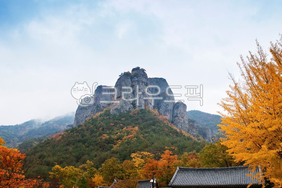 주왕산,산,단풍,풍경,아름다운,다양한,나무,숲,바위,암석,하늘,가을,경관,경치,자연
