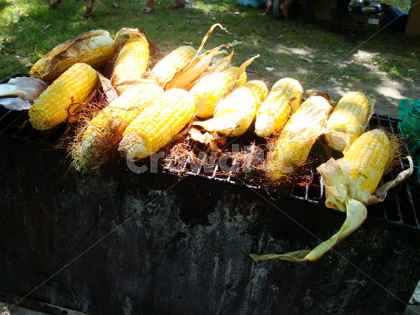 옥수수,파티,음식,숯불,소풍,음식,식재료,요리,food,cook,meal,dishes,food reserves