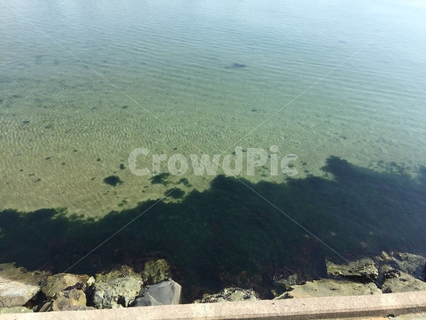 제주도바다,애월읍,애월해안도로,투명한바다,바다