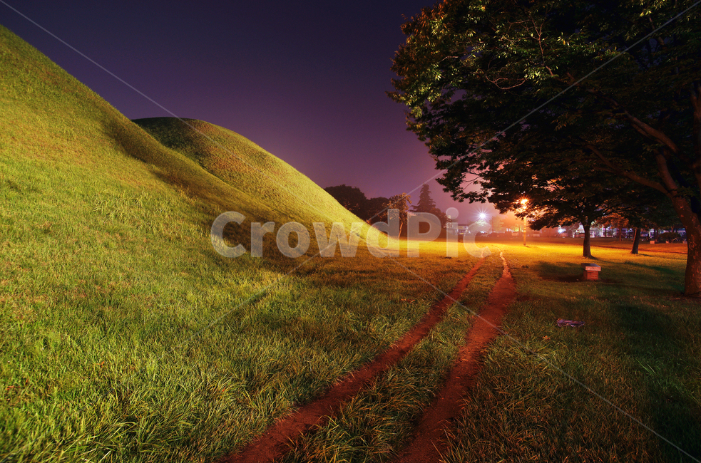 신라왕릉,경주,노서리고분군,왕릉,신라시대,무덤,사적제39호,고분,돌무지덧널무덤,돌방무덤,노서동,야경,통일신라,야경,밤,풍경,nightscape,night,landscape,한국전통,한국문화,korean traditional,korean culture,랜드마크,landmark,tourist attraction,한국랜드마크,한국관광지,한국명소,korea landmark,korea tourist attraction,field,들,outdoors,옥외,grassland,목초지