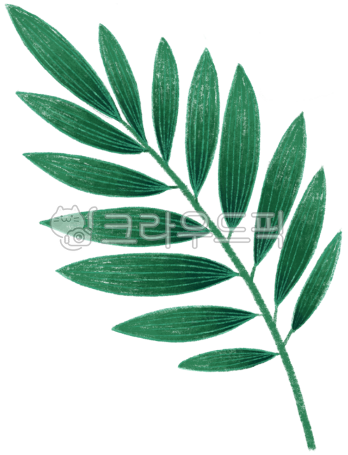 일러스트,일러스트레이션,나뭇잎,잎사귀,잎,리프,leaf,식물,식물일러스트,자연,환경,식물그림,색연필,디지털드로잉,녹색,초록,자연물,식목일,보타니컬,보태니컬,보타니컬일러스트,보태니컬일러스트,초록색,그린,green,삽화