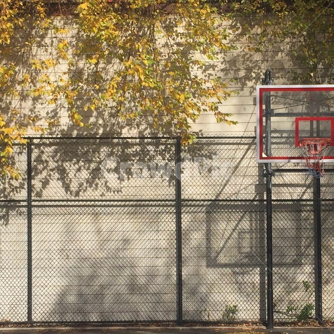 농구장,자연,맑음,미국,도시,스포츠,레저,운동,sports,leisure,exercise