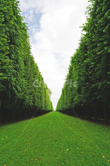 outdoors,잔디,나무,공원,정원,grass,식물,plant,green,녹색,자연,자연,풍경,nature,landscape