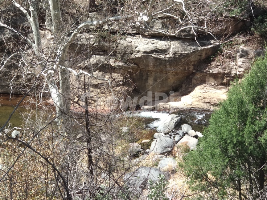북미,숲,나무,자연,풍경,계곡,자연,풍경,nature,landscape,outdoors,옥외,water,물