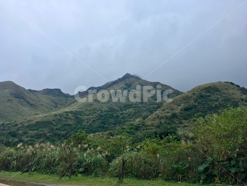 산,하늘,언덕,나무,갈대,mountain,sky,hill,tree,reed,자연,풍경,nature,landscape,outdoors,옥외