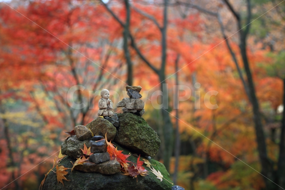 가을,단풍,동자승,낙엽,여행,불공,화순,가을,계절,fall,autumn,season,한국자연풍경,한국자연경관,korea nature landscape,조각상,동상,석상,조형물,statue,bronze statue,stone statue,종교,신앙,religion,belief,faith,tree,나무,plant,식물