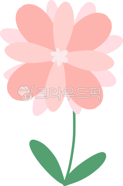 꽃,식물,들꽃,분홍색,핑크,분홍꽃