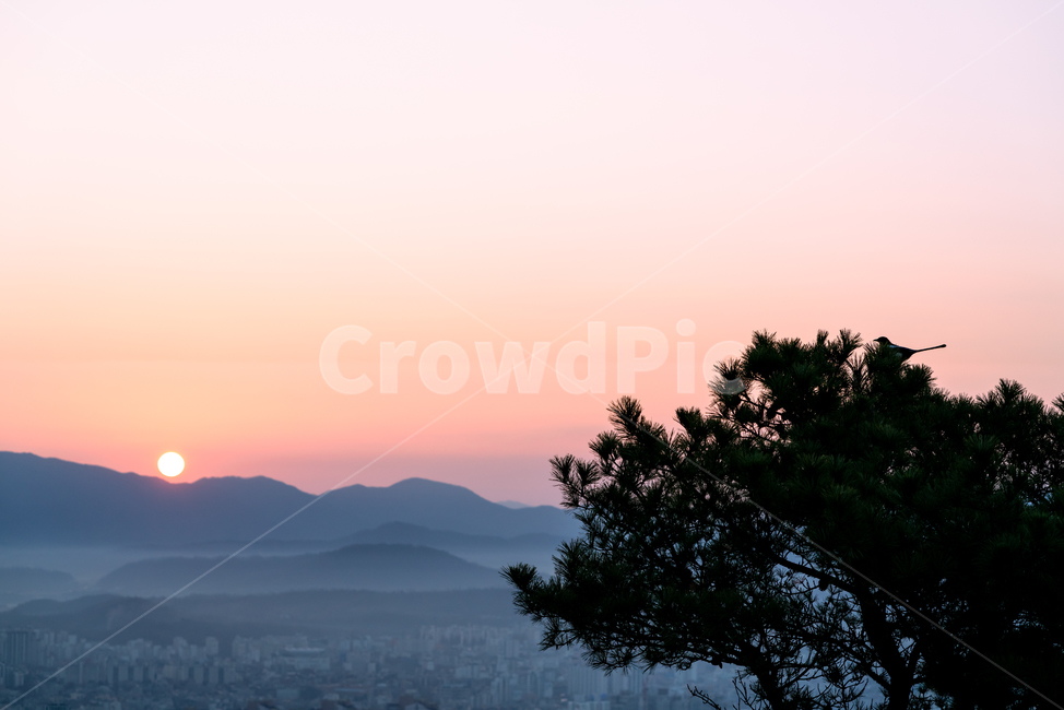 일출,아차산,산,해,안개,건물,landscape,sky,풍경,도시,city,한국도시풍경,한국도시경관,korea,cityscape,도시,풍경,city,landscape,한국도시풍경,한국도시경관,korea cityscape,nature,자연,outdoors,옥외