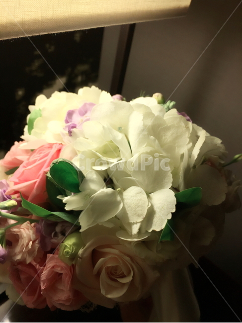 꽃,플라워,꽃다발,부케,장미,flower,bouquet,rose,이벤트,event,서프라이즈,surprise,컬러풀,colorful,생일,birthday,축하,파티,party,선물,present,따뜻한,부드러운,감성적인