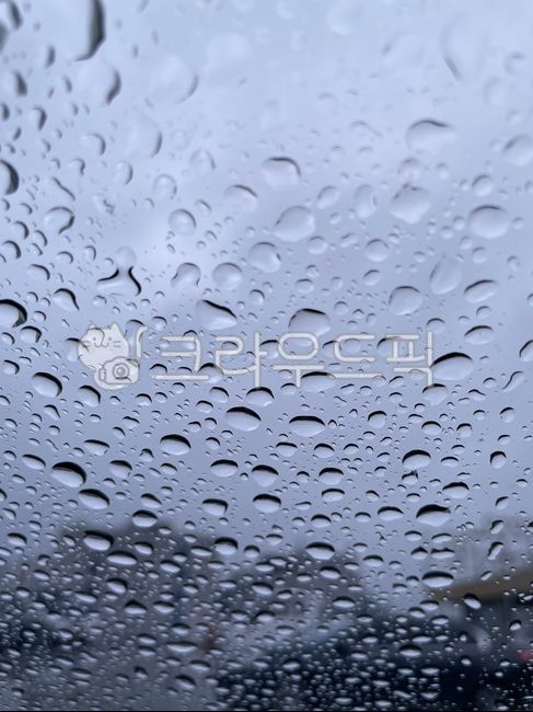 작은물방울,droplet,비,빗방울,비오는날