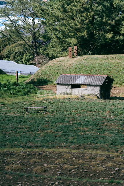 폐가,건물,nature,자연,outdoors,옥외,building