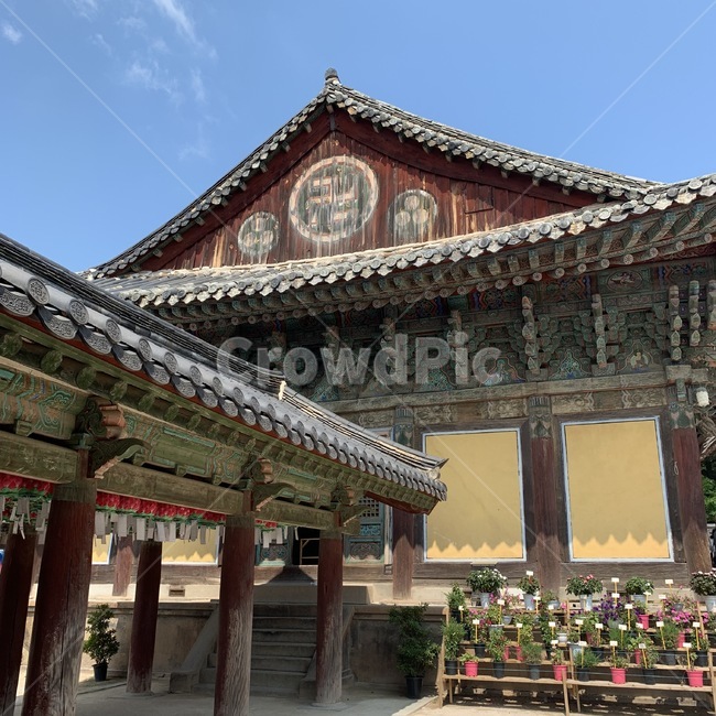 architecture,건축물,building,건물,절,풍경