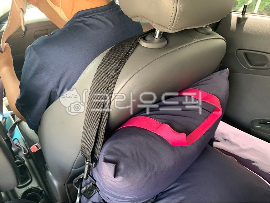 car seat,pet car seat,white dog,white puppy,dog car seat,puppy,Munk seat,Bichon Frize,Bichon,dog