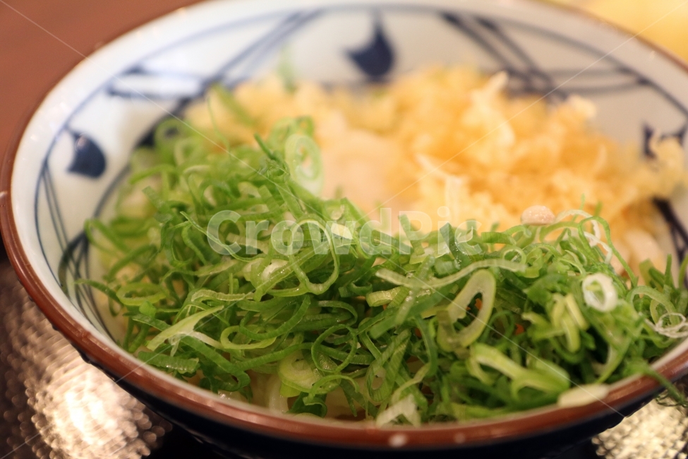 음식,파,일본음식,우동,면요리,요리,식당,먹다,음식,식재료,요리,food,cook,meal,dishes,food reserves,채소,야채,vegetables