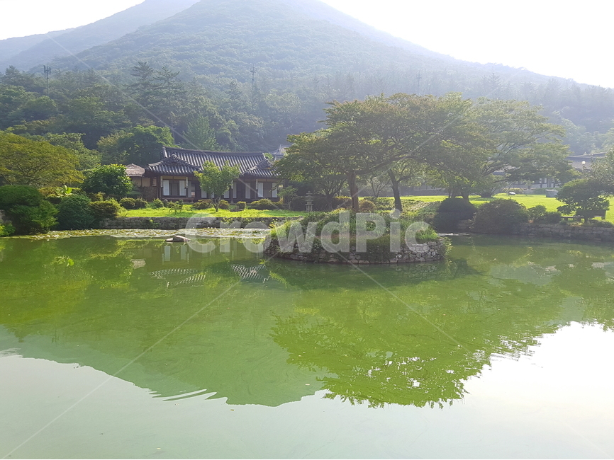 	운림산방,진도운림산방,연못,정원,자연,풍경,자연,풍경,nature,landscape,한국자연풍경,한국자연경관,korea nature landscape,한국전통,한국문화,korean traditional,korean culture,water,물,outdoors,옥외