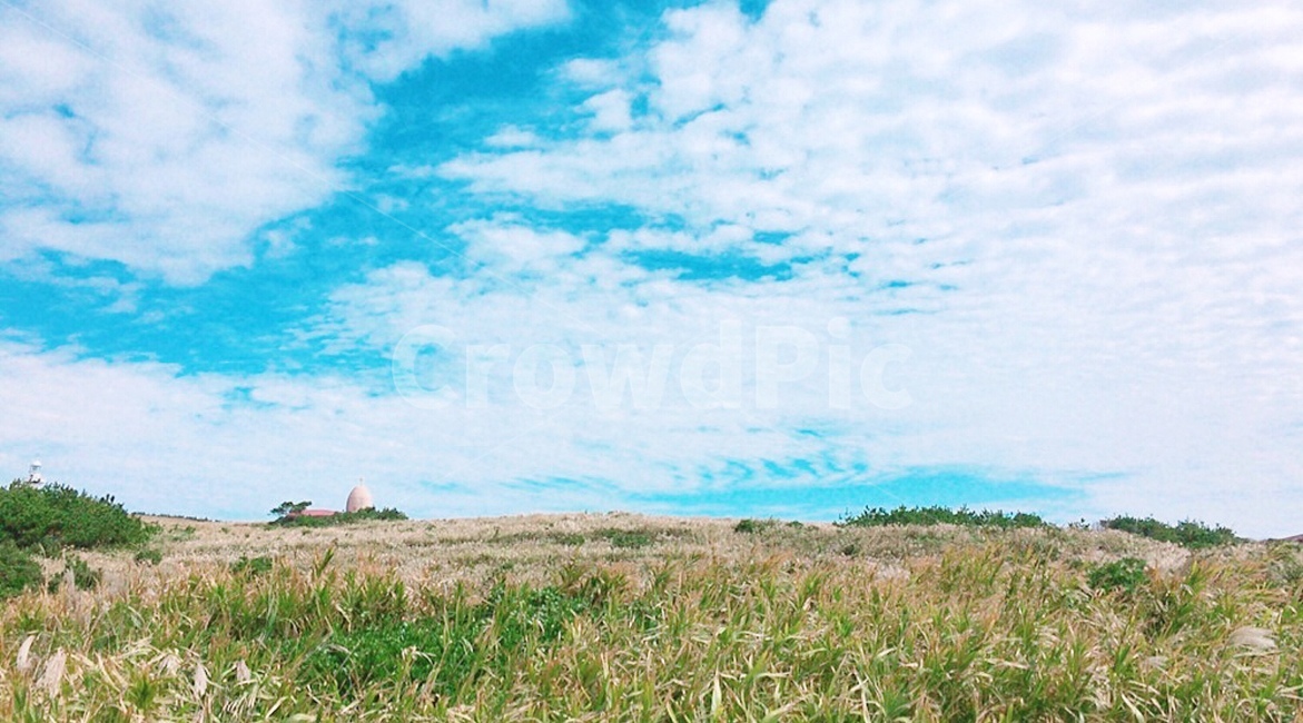 하늘,갈대,자연,평야,풍경,마라도,밝음,힐링,바람,화창함,배경화면,jejuisland,자연,풍경,nature,landscape,outdoors,옥외,field,들,grassland,목초지