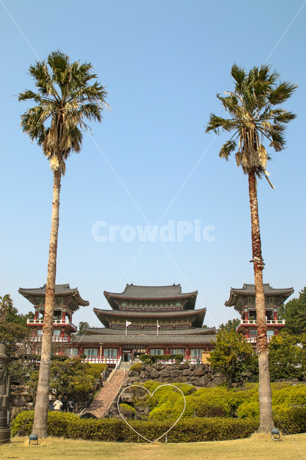 약천사,절,부처님오신날,제주도,제주도약천사,제주,architecture,building,건물,건축물