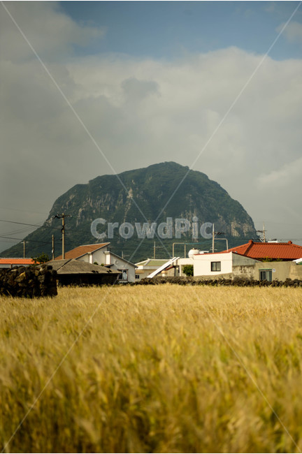 산방산,구름,하늘,제주도,제주,풍경,자연,풍경,nature,landscape,제주도,jeju,jeju island,outdoors,옥외