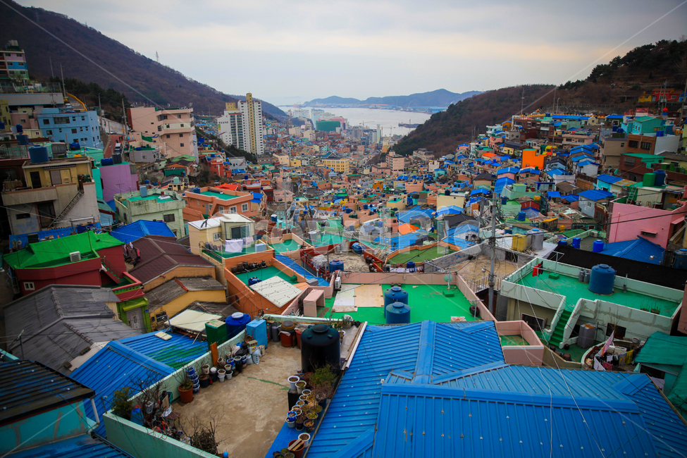 마을,고장,지붕,건물,옥상,파랑색,연두색,산,전기줄,아파트,배경,종교,감천마을,부산광역시,감천문화마을,컬러풀,알록달록,도시,풍경,city,landscape