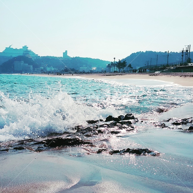 파도,바다,풍경,동해,해변,beach