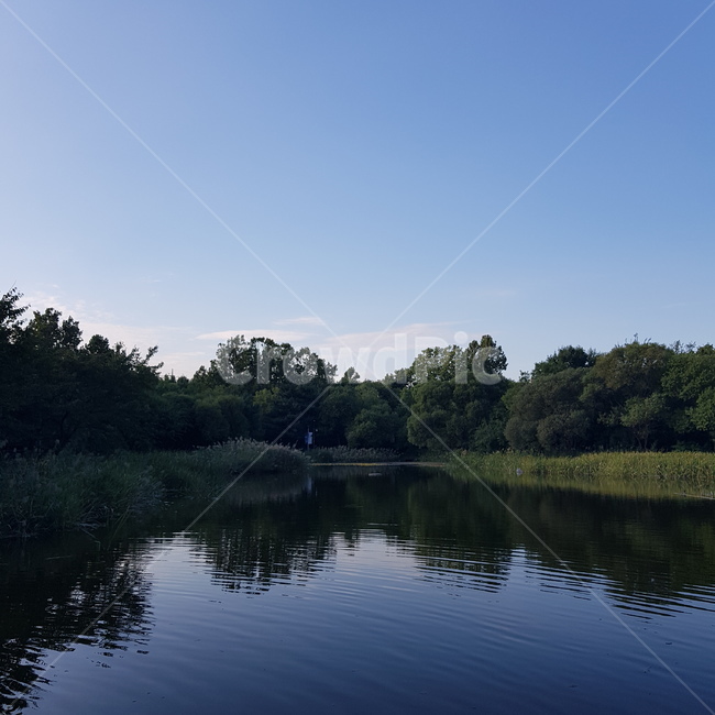 서울숲,풍경,호수,자연,하늘,숲,nature,공원,나무,여유,힐링,반영,자연,풍경,nature,landscape,water,물,outdoors,옥외,land,땅