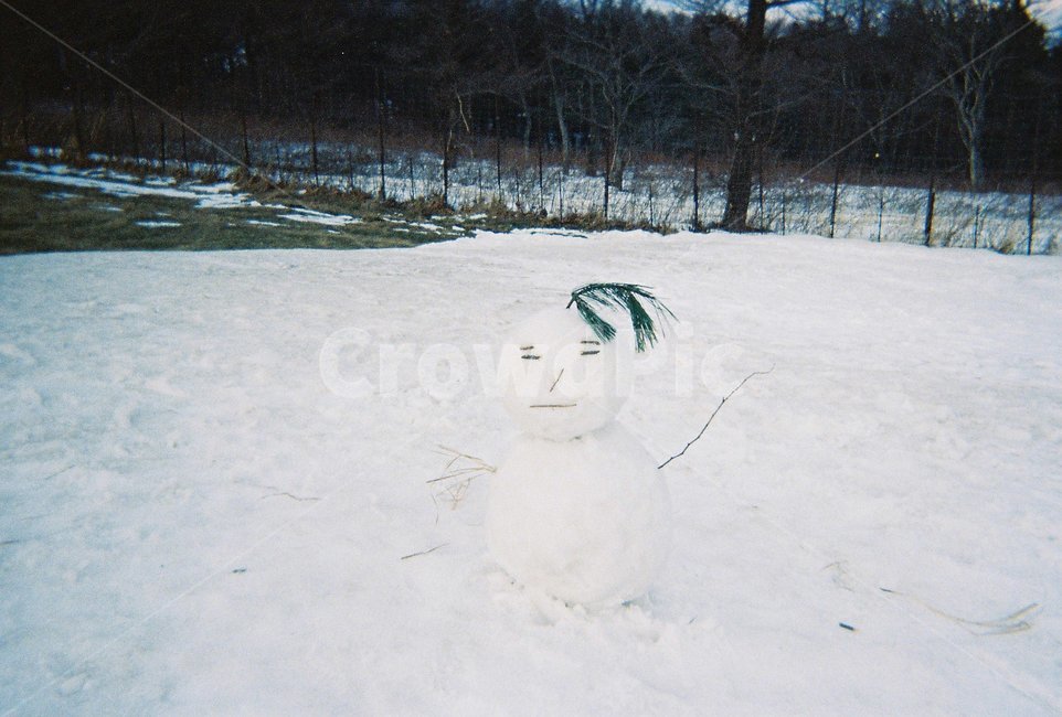 눈사람,겨울,양떼목장,winter,snowman,눈,snow