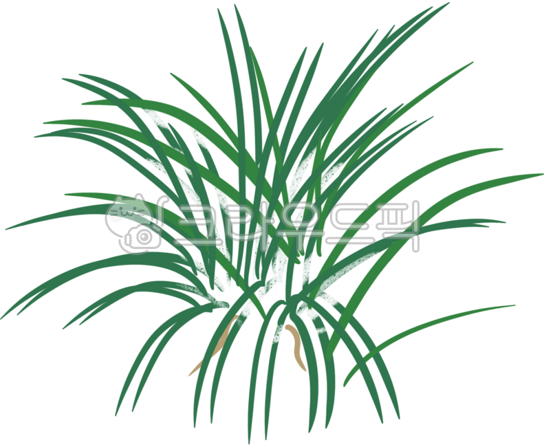 Plants,beginner butler,beginner food butler,food butler,beginner plants,air purifying plants,ionantha