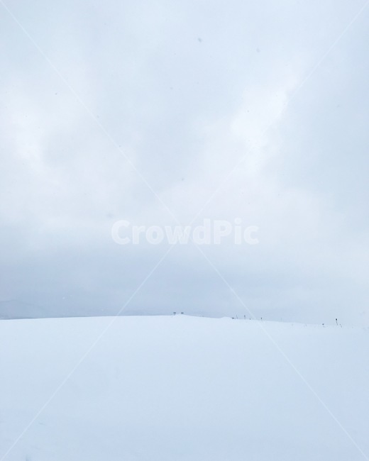 겨울,삿포로,눈,풍경,비에이,홋카이도,겨울,계절,winter,season,자연,풍경,nature,landscape,outdoors,옥외
