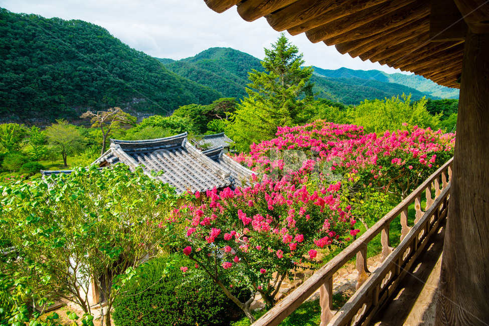 안동,병산서원,전통,문화유산,건물,자연,풍경,nature,landscape,한국전통,한국문화,korean traditional,korean culture,건축물,건물외관,exterior,building,structure,architecture,construction,outdoors,옥외,arbour,정자,garden,정원