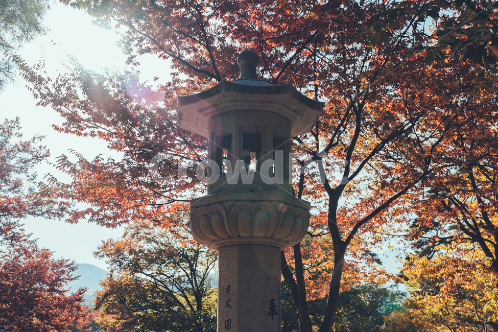 절,통도사,가을,단풍,낙엽,감성,가을,계절,fall,autumn,season,한국전통,한국문화,korean traditional,korean culture,조각상,동상,석상,조형물,statue,bronze statue,stone statue,tree,나무,plant,식물