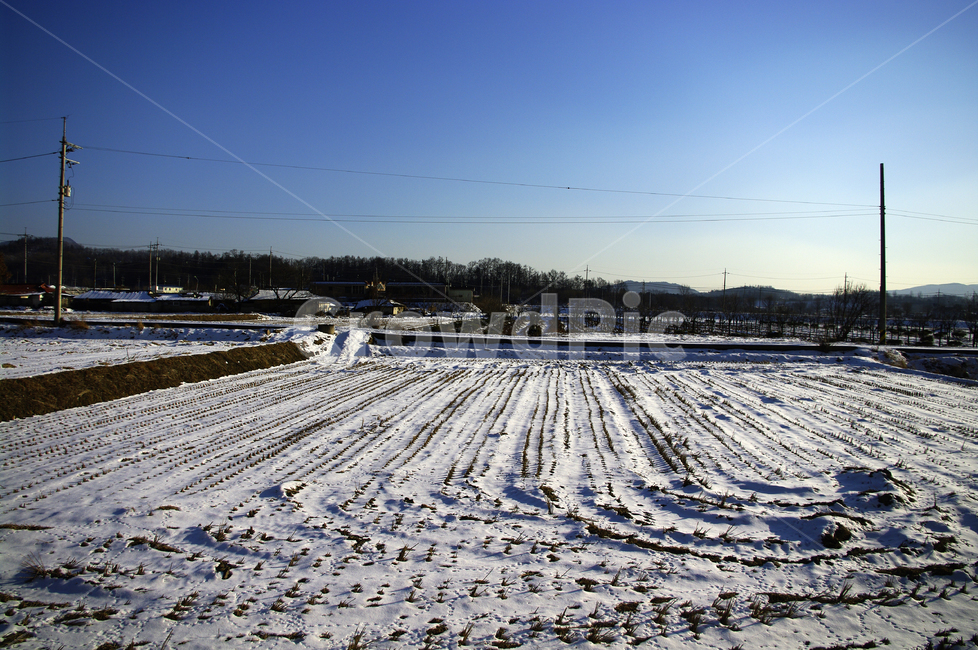 설경,겨울,winnter,계절,눈,하늘,전원,겨울,계절,winter,season,시골,마을,풍경,landscape,country,rural,town