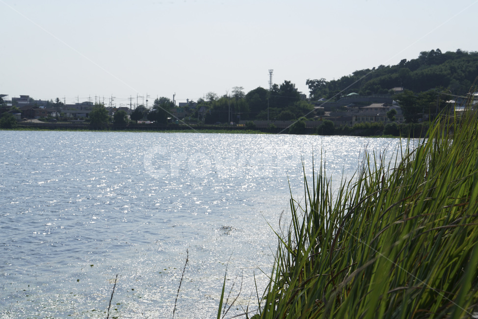 김제저수지,능제저수지,만경저수지,김제만경능제저수지,농업용수,저수지,만경읍,만경테마공원