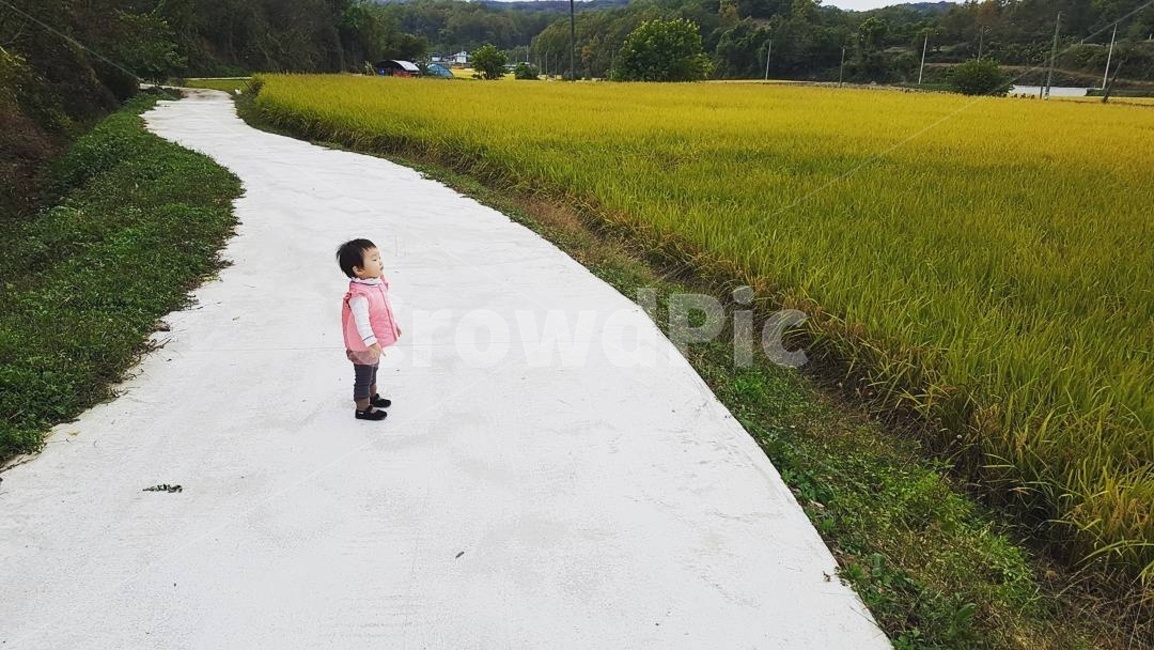 아기,시골,자연,벼,사랑