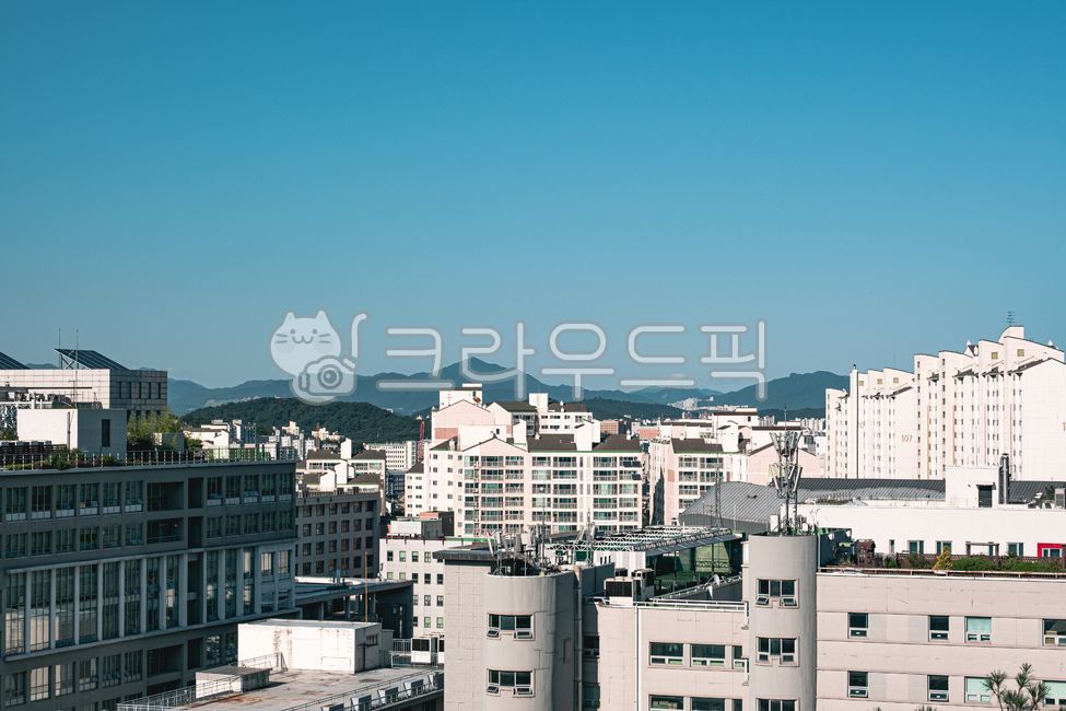 아파트,도심,도시,건물,건축물