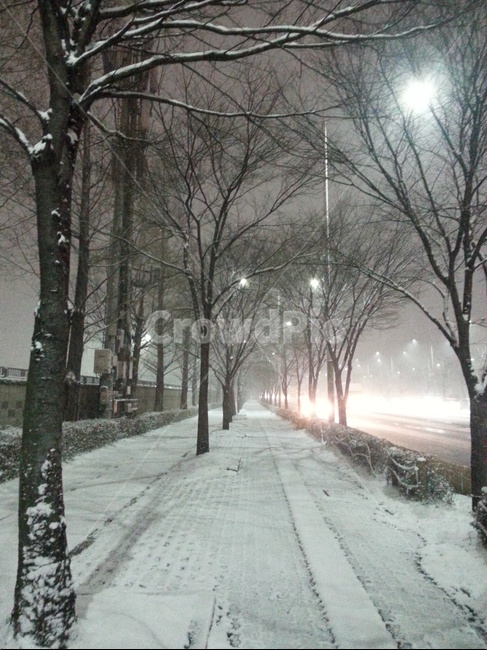 눈오는밤,눈오는길,눈,눈길,예쁜밤,겨울,계절,winter,season