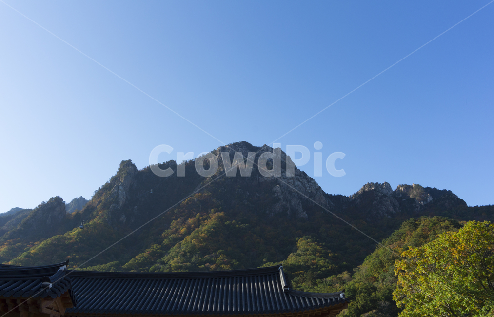 풍경,자연,설악산,단풍,권금성,속초,강원도,정상,경관,장관,산,나무,봉우리,능선,전망,가을,등산,국립공원,명소,바위,하늘,경치,고산지대,협곡,울산바위,야외,한국자연풍경,한국자연경관,korea nature landscape