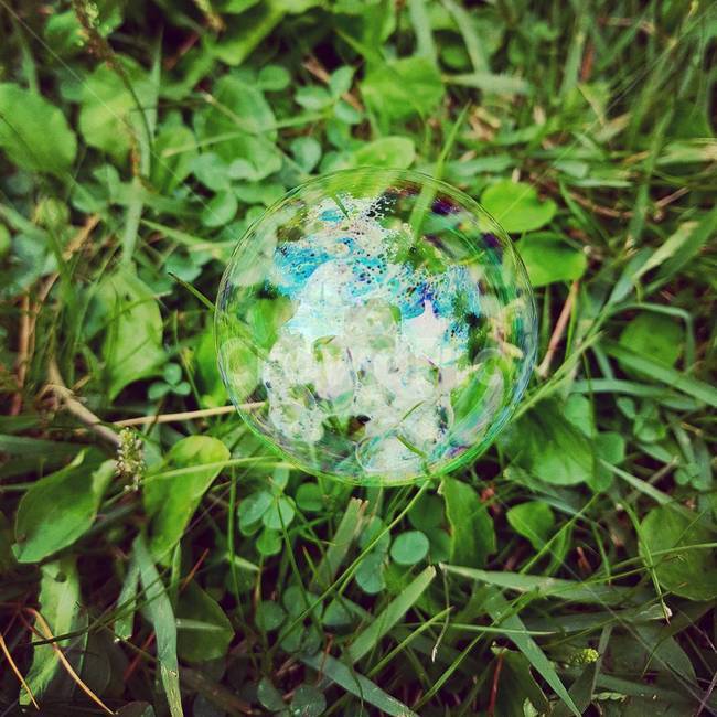 풀잎,녹색잎,잔디,비눗방울,풀,식물,자연,plants,nature