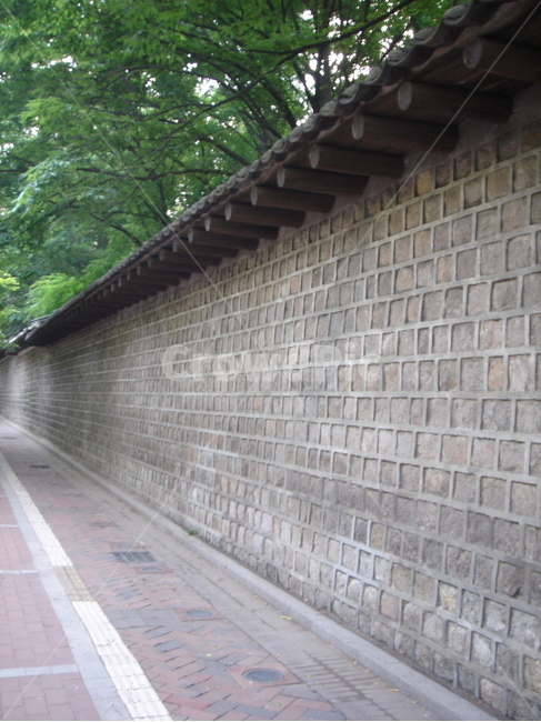 돌담,돌담길,산책,벽,담