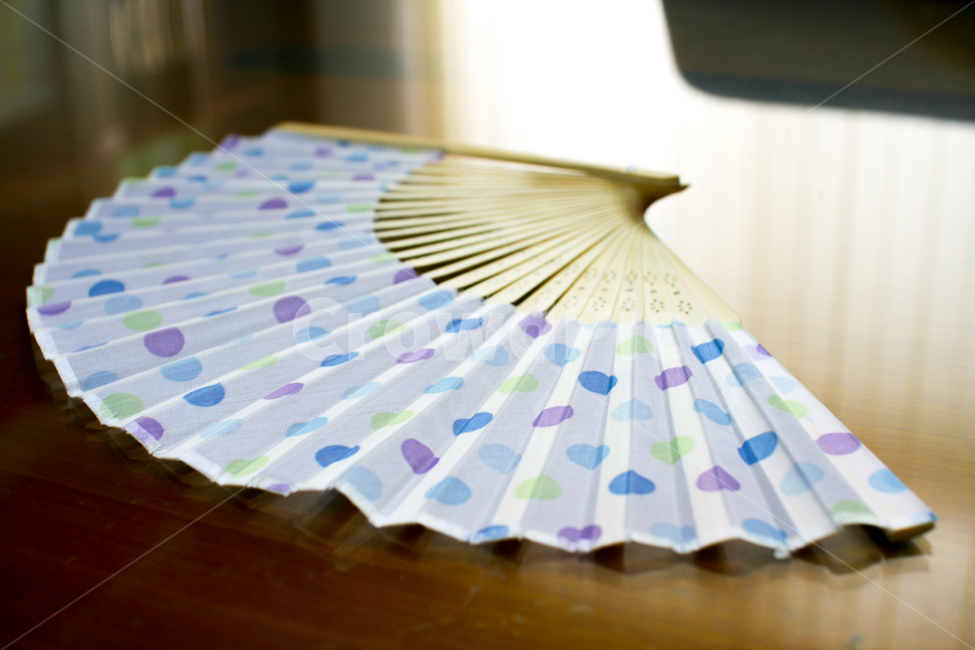 부채,fan,접이식부채,foldingfan,전통,tradition,전통부채,traditionalfan,여름,계절,summer,season,사물,물건,오브젝트,thing,object,matter