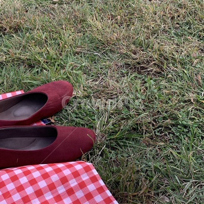피크닉,신발,돗자리,소품,잔디